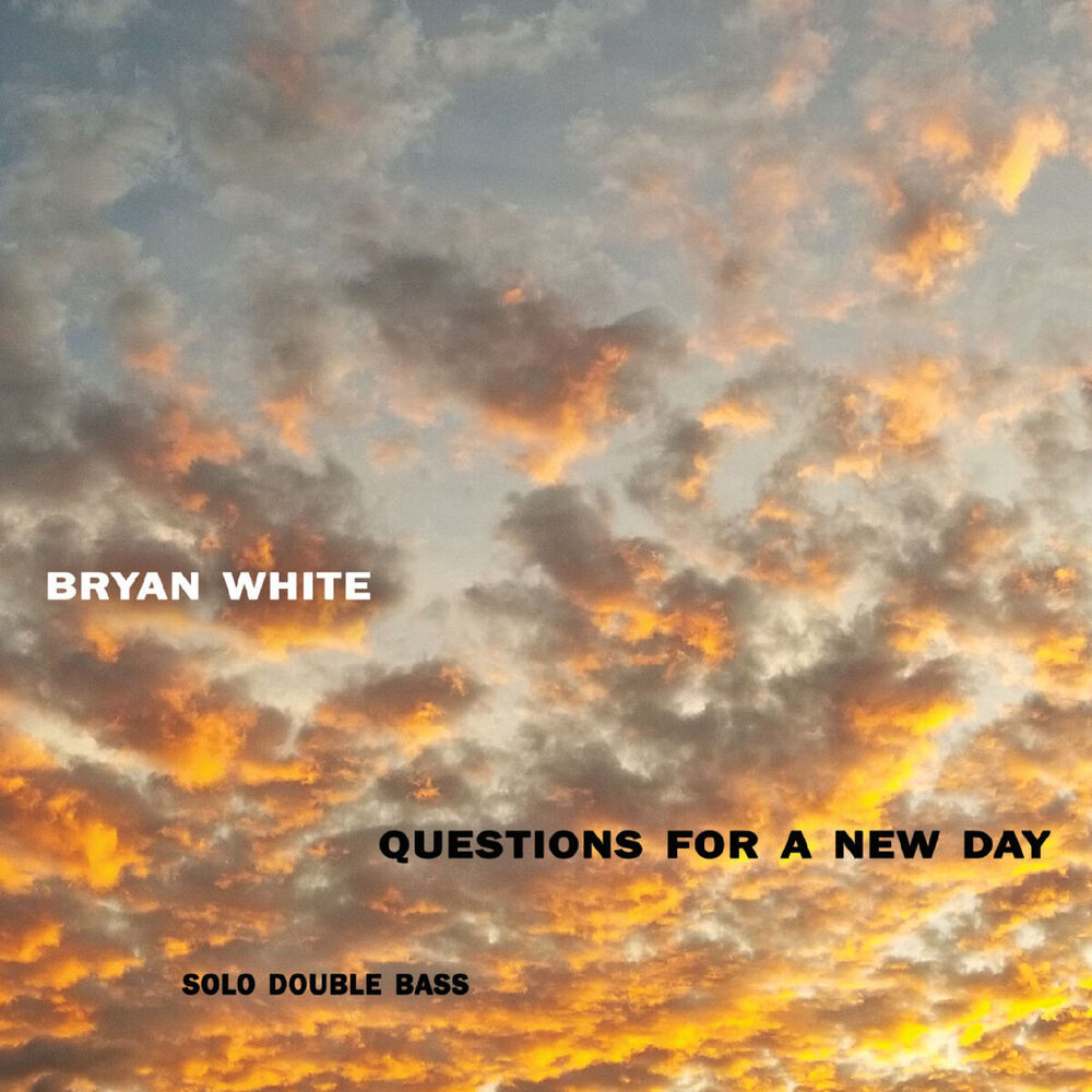 Picture of Questions for a New Day