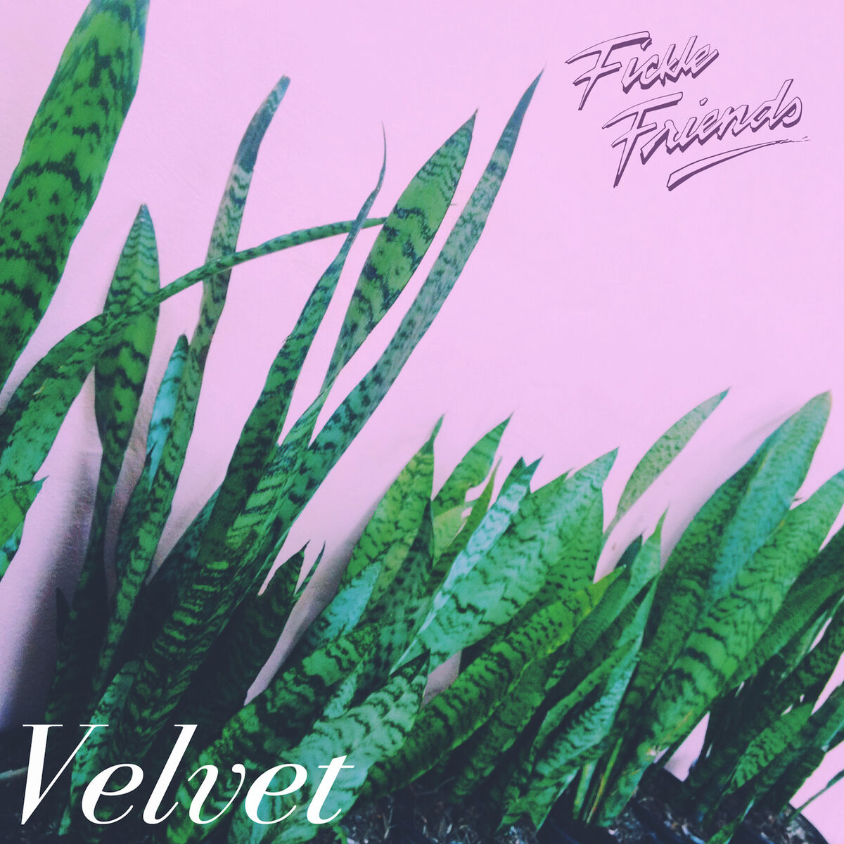 Album cover of Velvet - EP