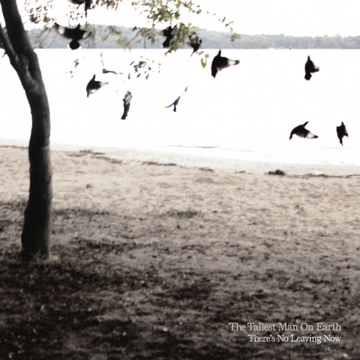 Album cover of 1904