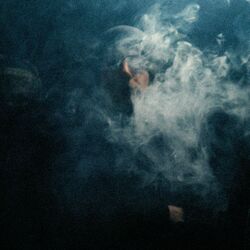 Cover of UBER FUME