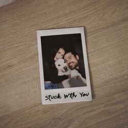 Cover of Stuck With You