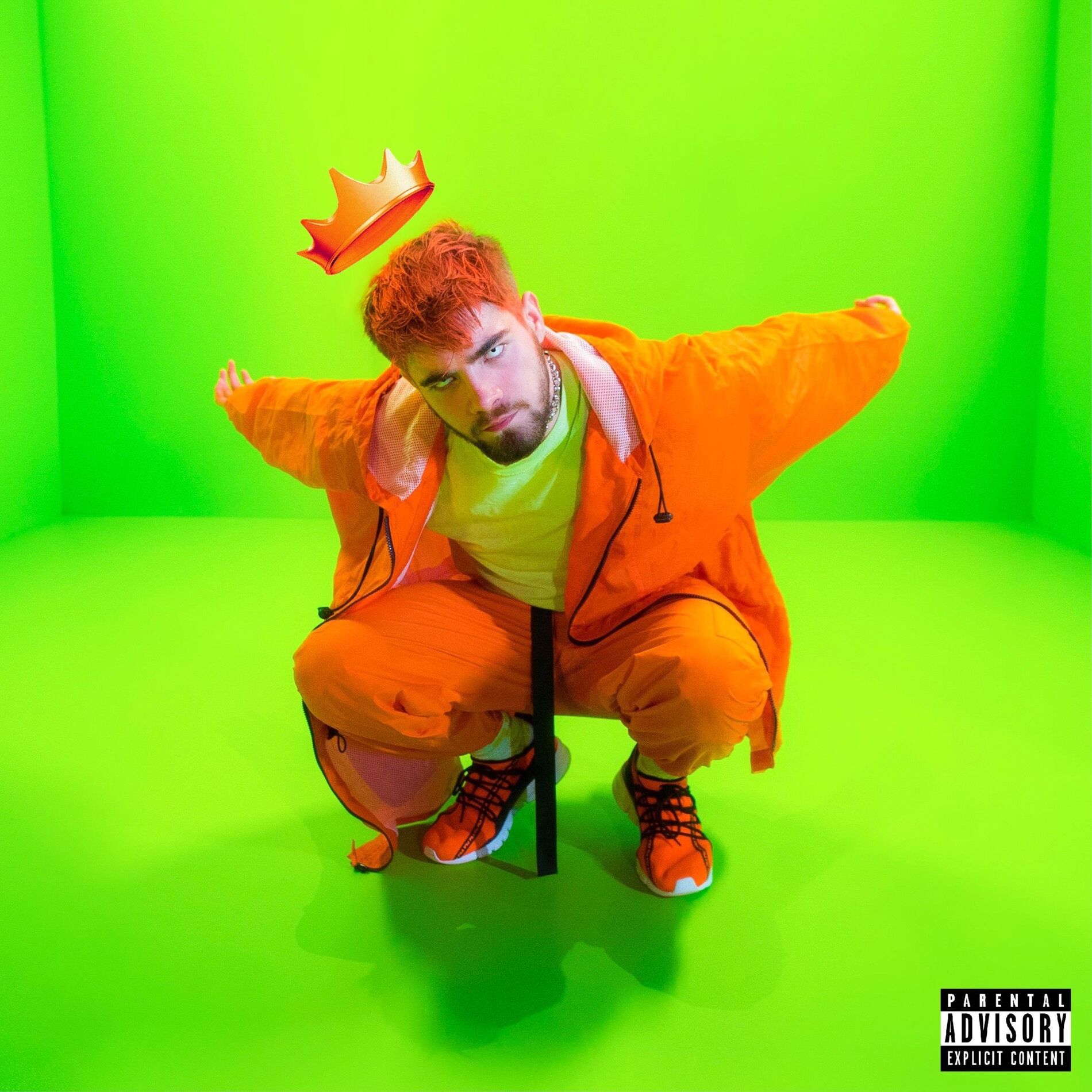 Album cover of Spongy Emerald Prince