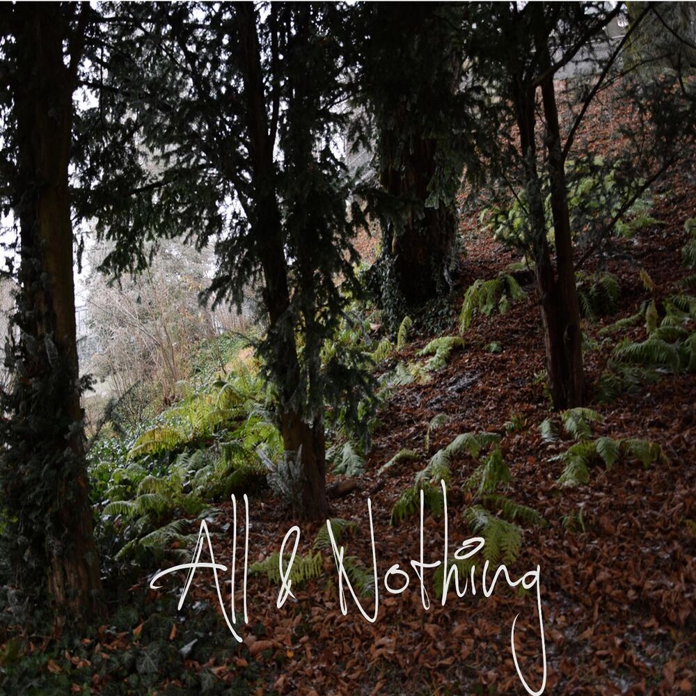 Picture of All & Nothing