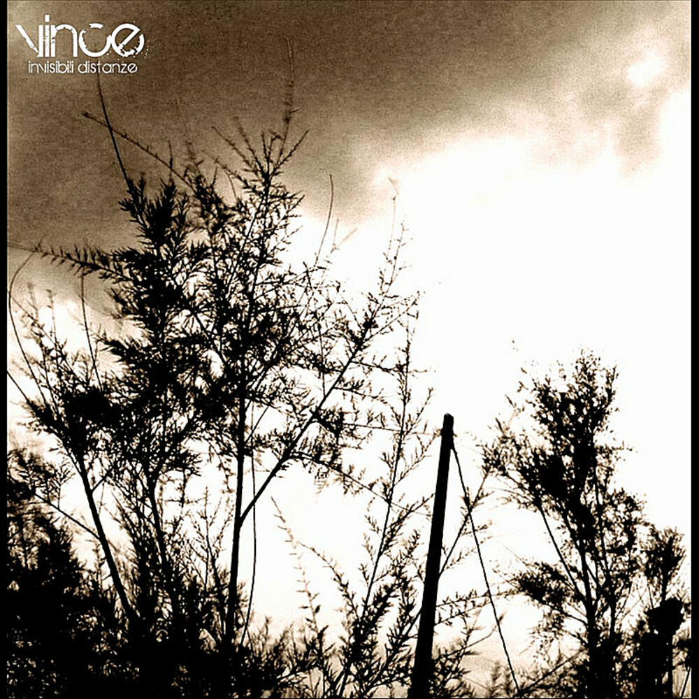 Picture of Invisibili Distanze