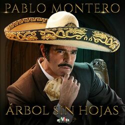 Cover of Árbol Sin Hojas