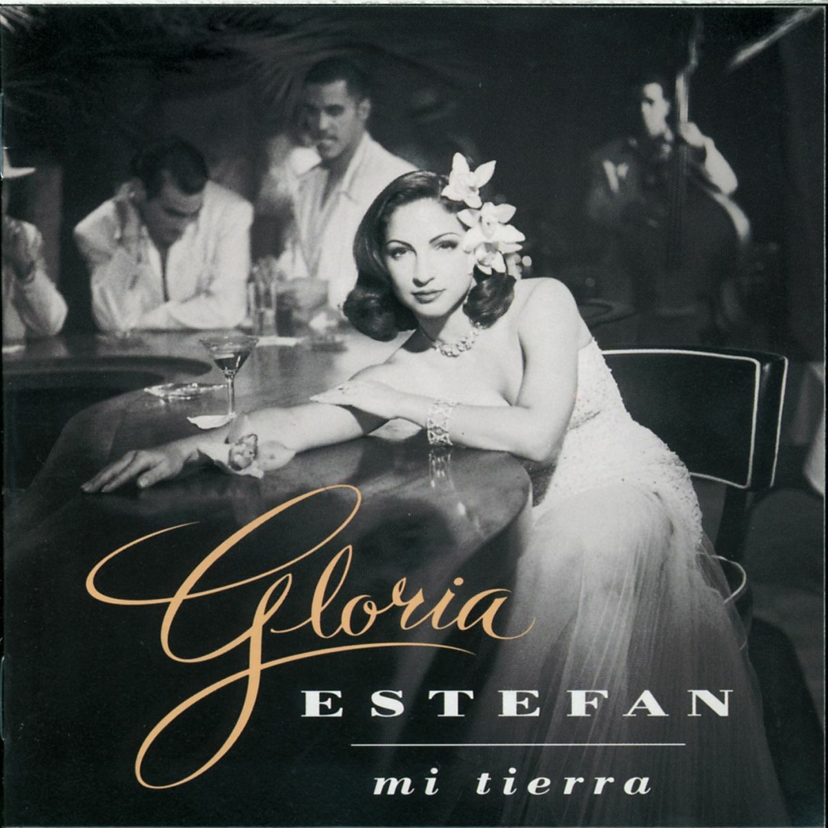 Album picture of Mi Tierra