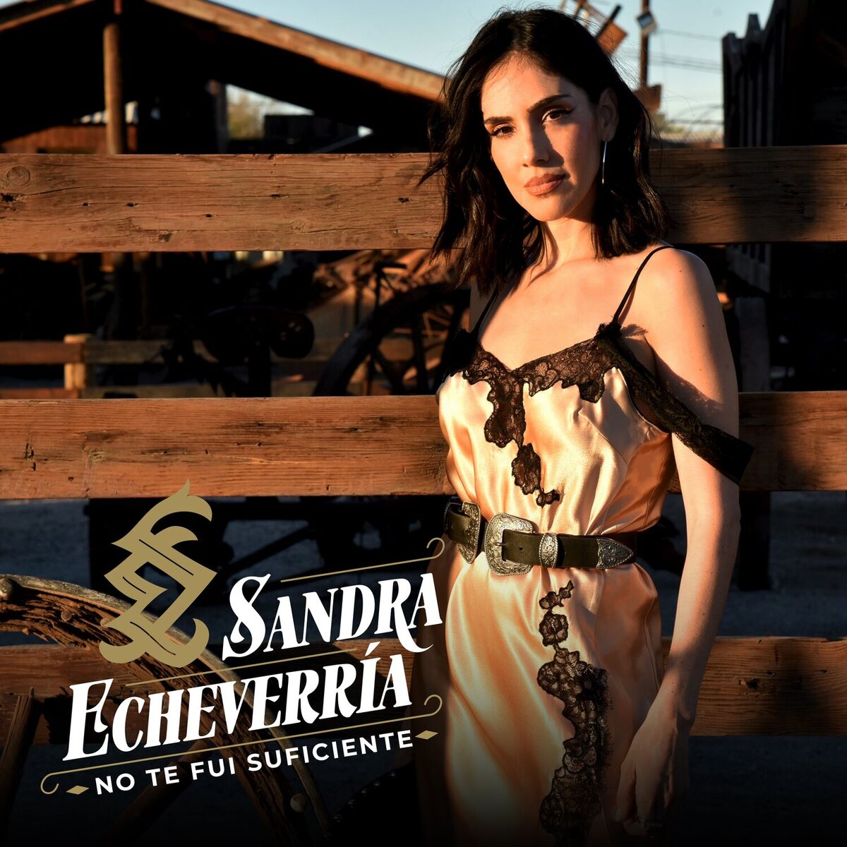 Album cover of No Te Fui Suficiente