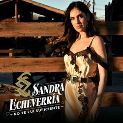 Cover of No Te Fui Suficiente