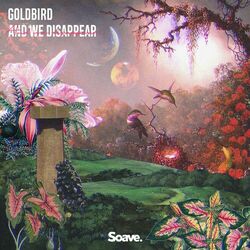 Cover of And We Disappear