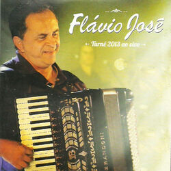 Cover of Turnê 2013 Ao Vivo