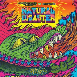 Cover of Natural Disaster