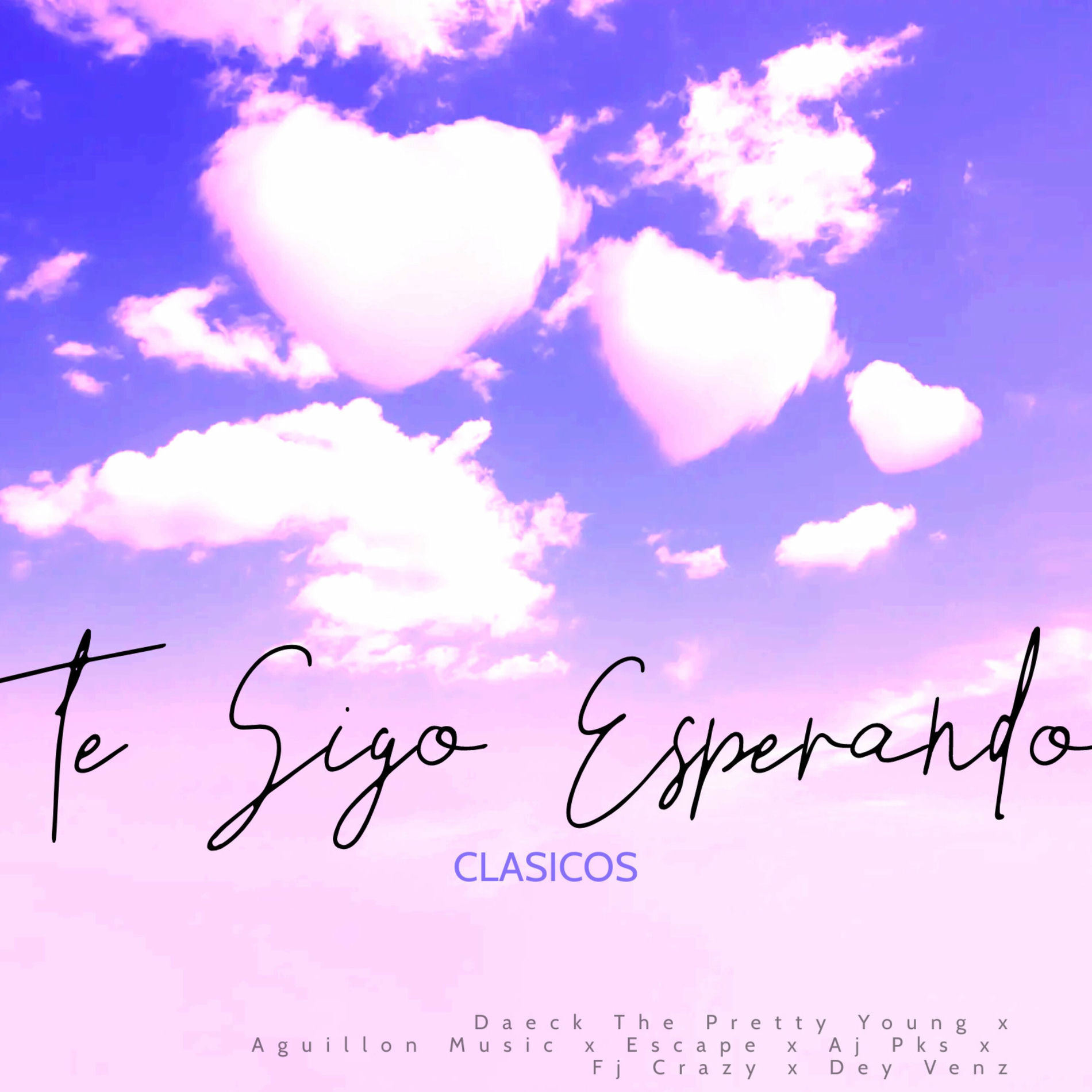 Album cover of Te Sigo Esperando (Clasicos)