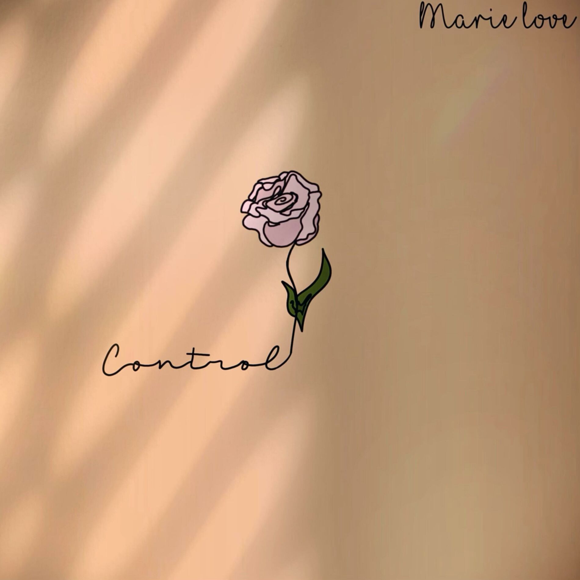 Album cover of Control