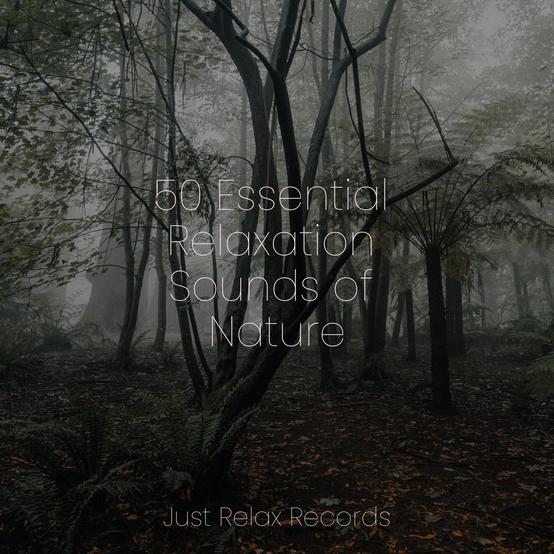 Album cover of 50 Essential Relaxation Sounds of Nature