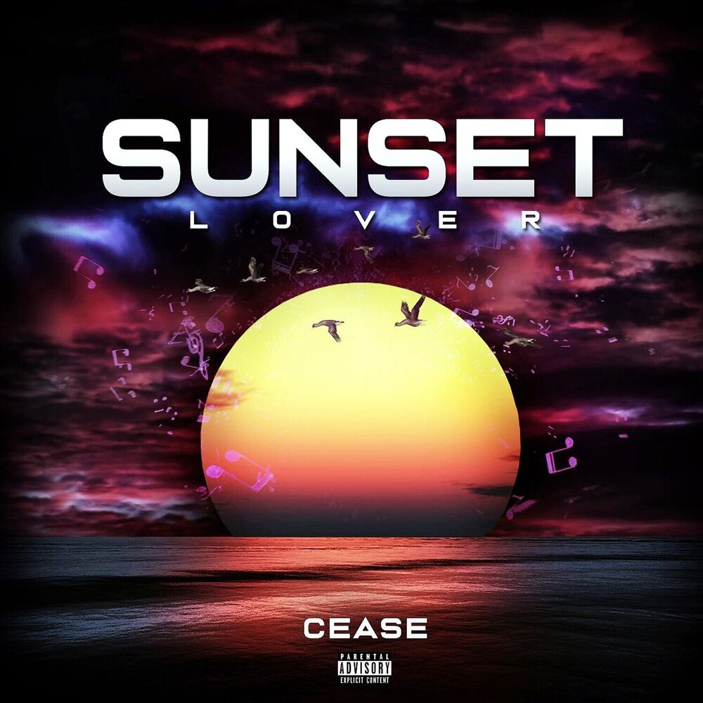 Picture of Sunset Lover (Remix)