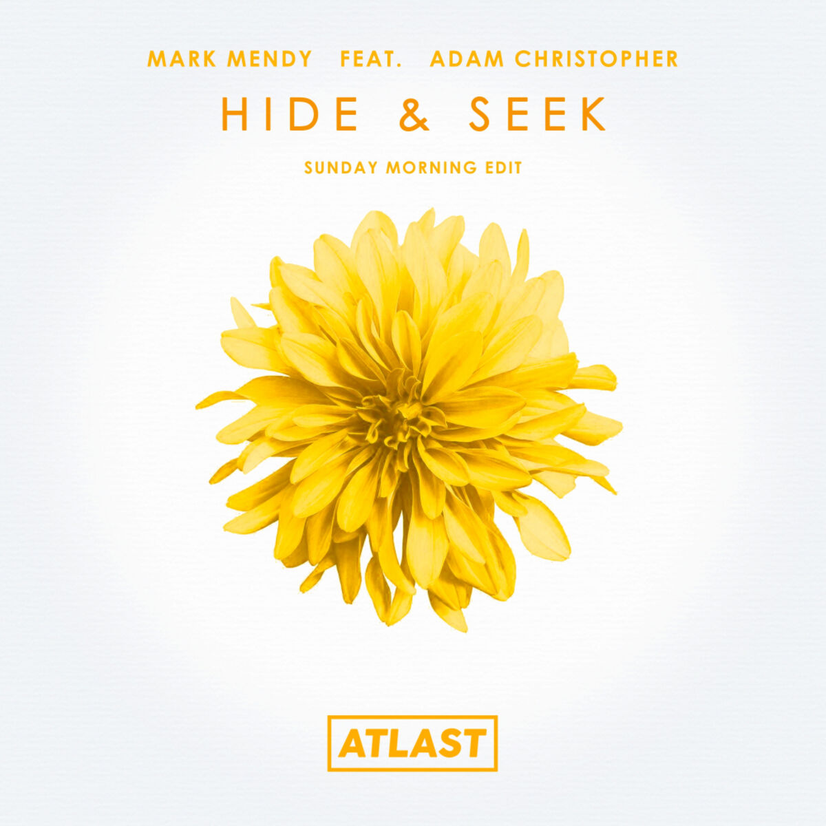 Album cover of Hide & Seek