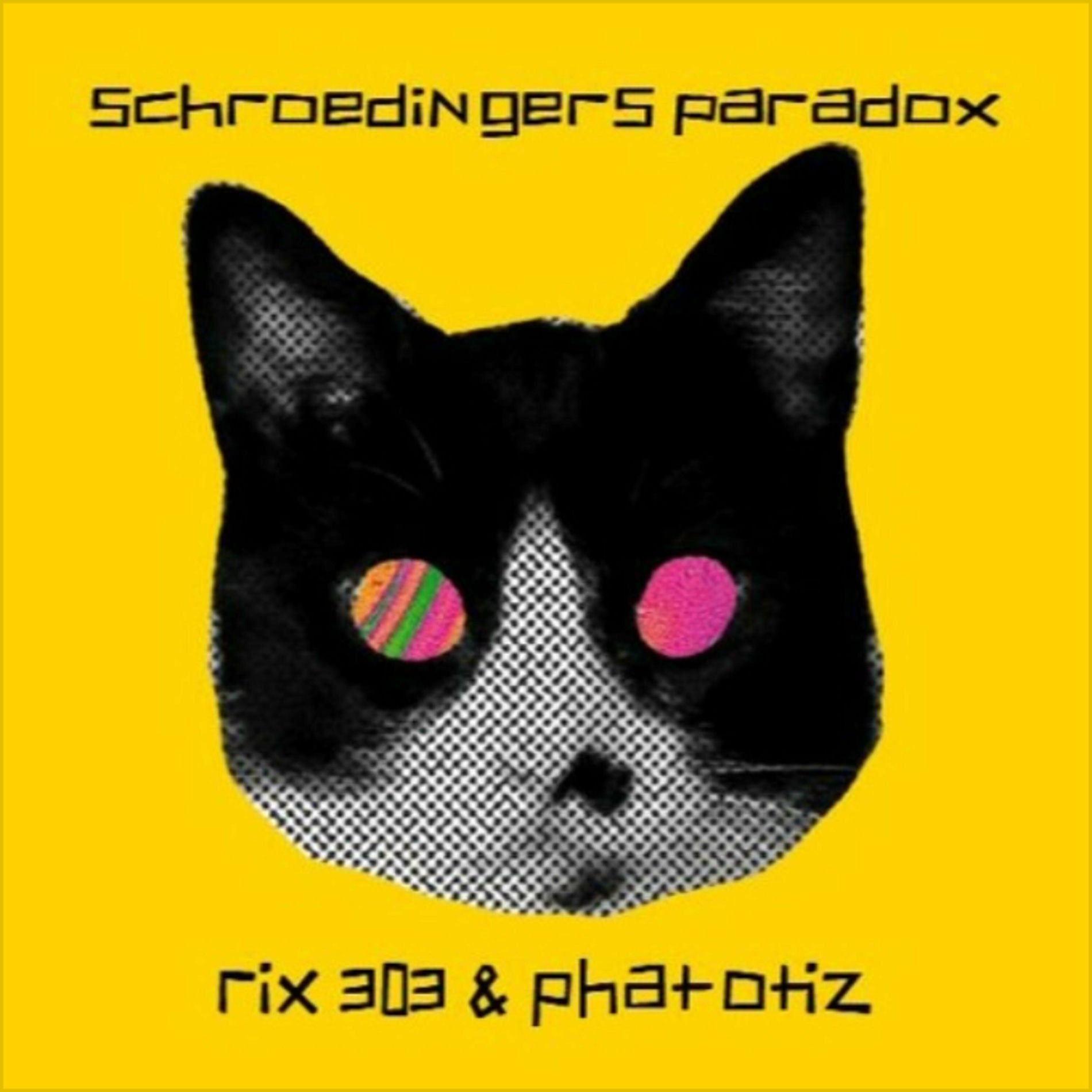 Album cover of Schroedingers Paradox