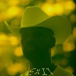 Cover of Exit (Radio Edit)