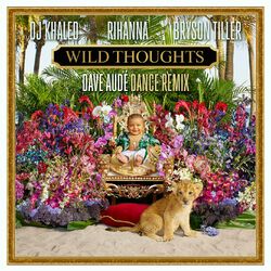 Cover of Wild Thoughts (feat. Rihanna & Bryson Tiller) (Dave Audé Dance Remix)