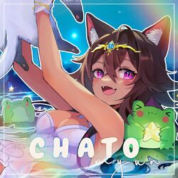 Cover of Chato