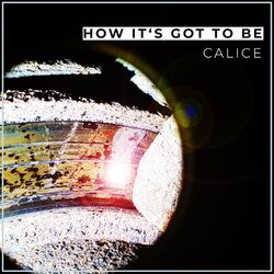 Cover of How It's Got To Be