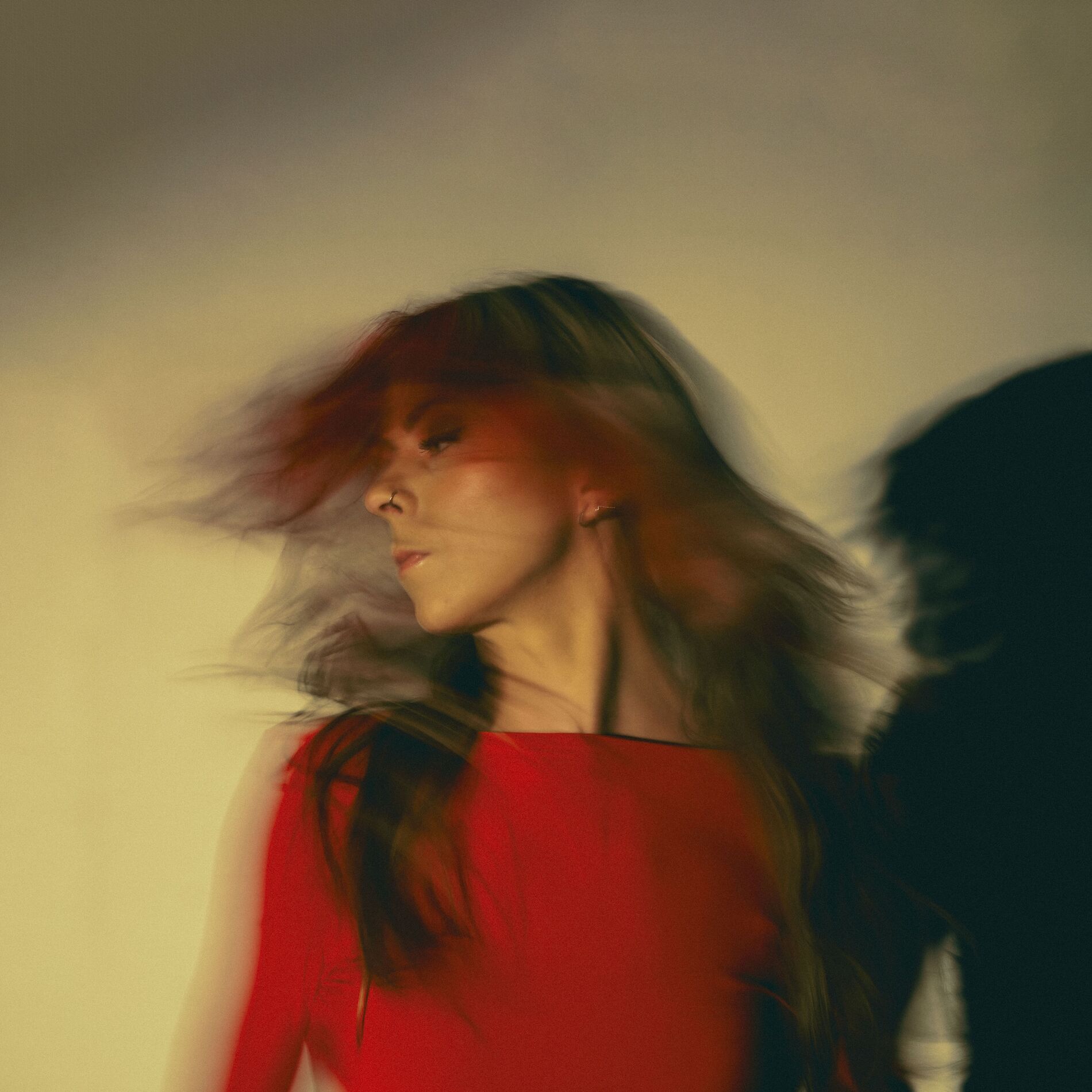 Album cover of Survival in Motion (Deluxe)