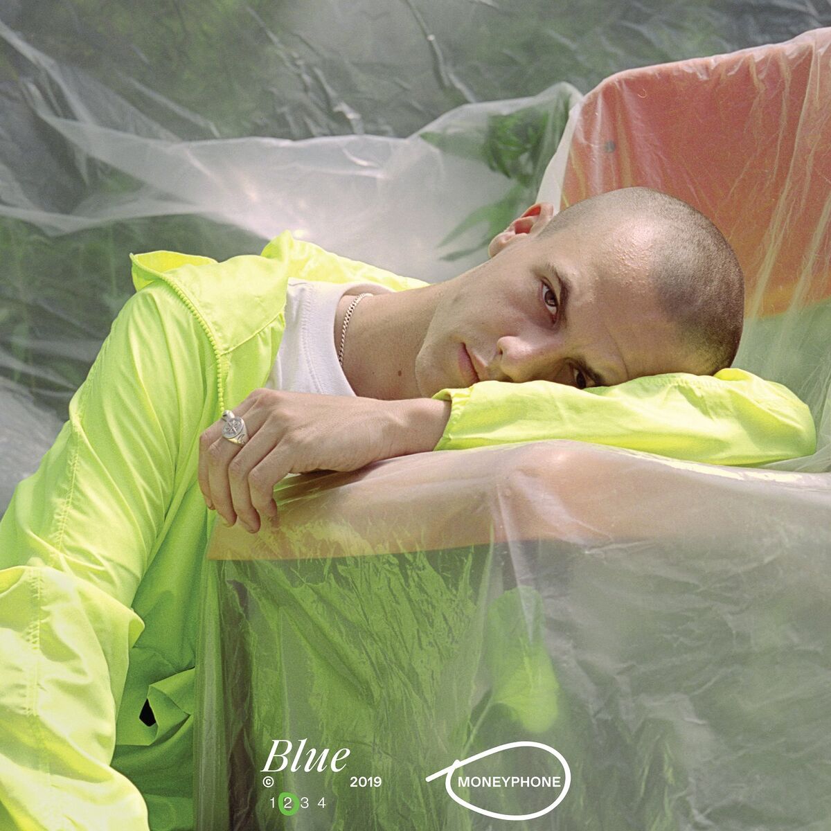 Album cover of Blue