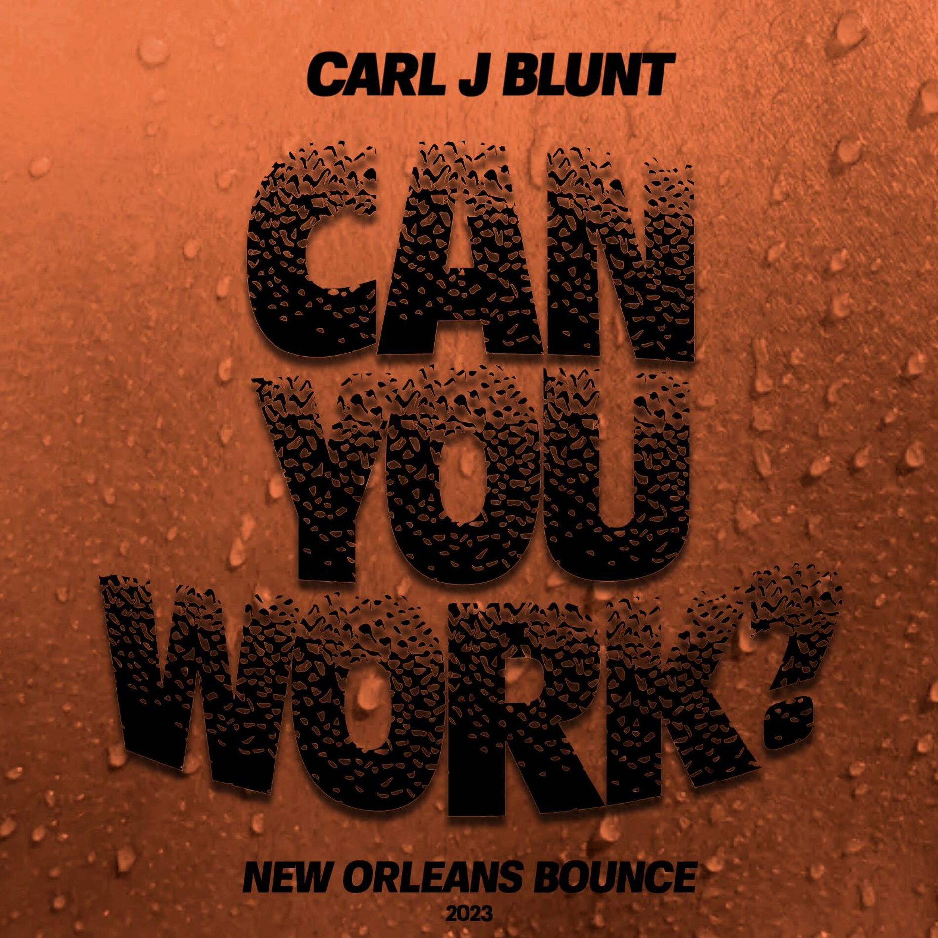 Album cover of Can You Work
