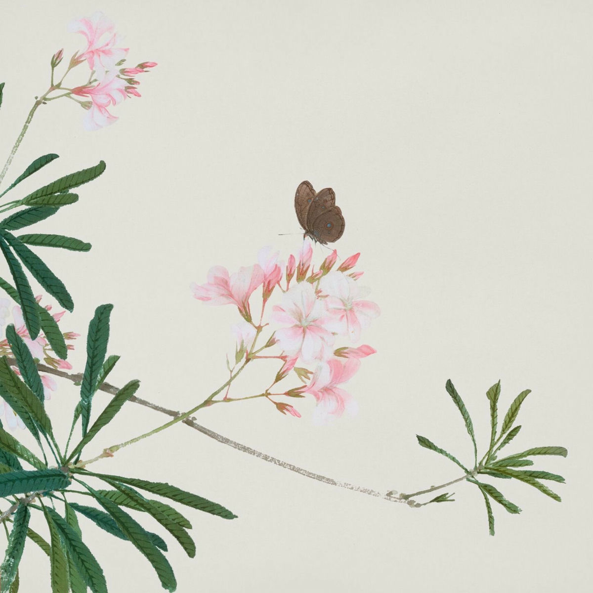 Album cover of beat tape