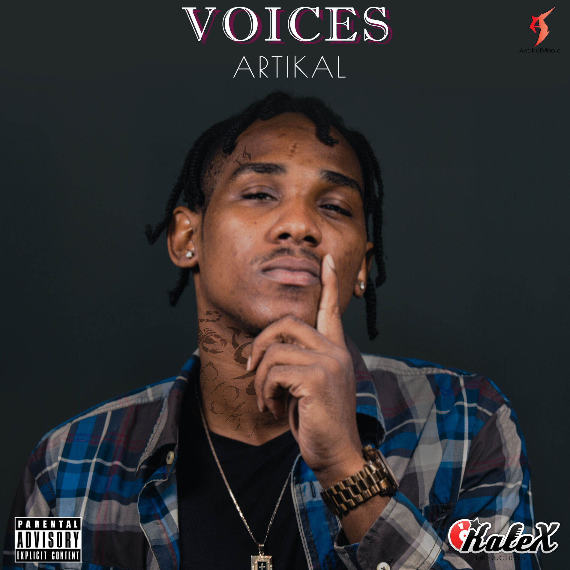 Album cover of Voices