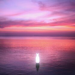 Cover of Away