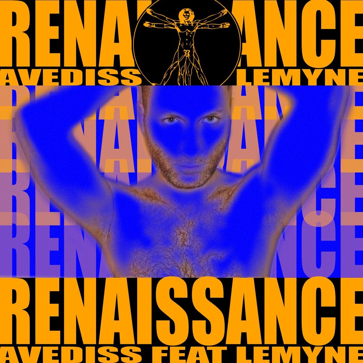 Album cover of Renaissance
