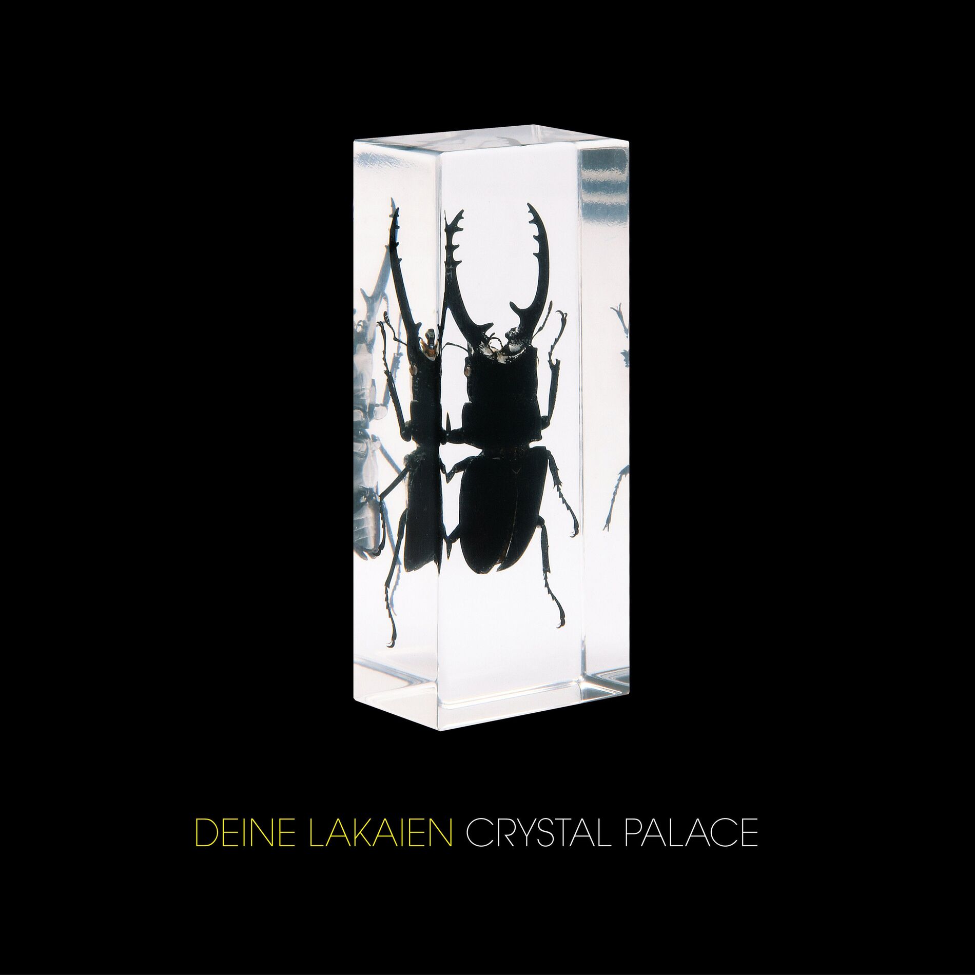 Album cover of Crystal Palace (Special Edition)