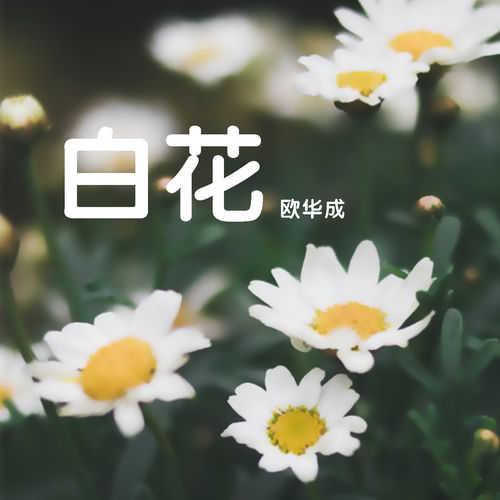 白花