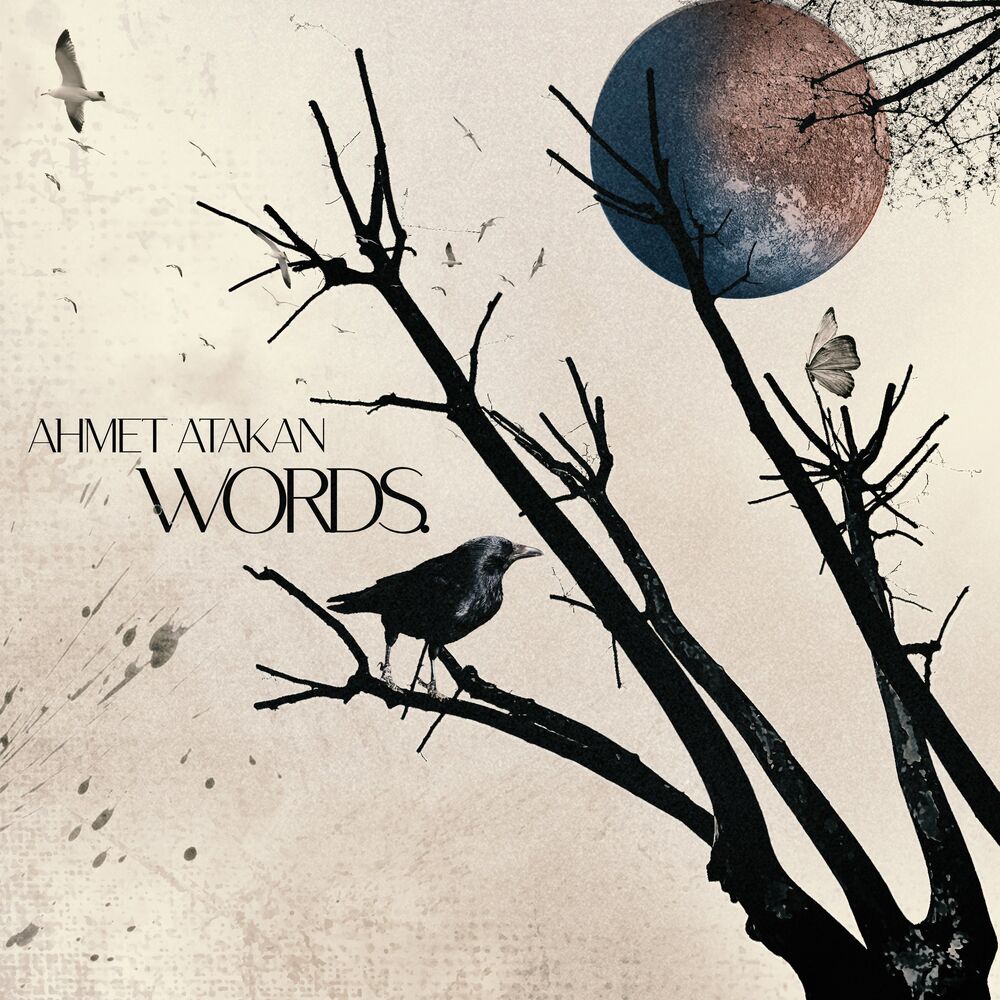 Picture of Words