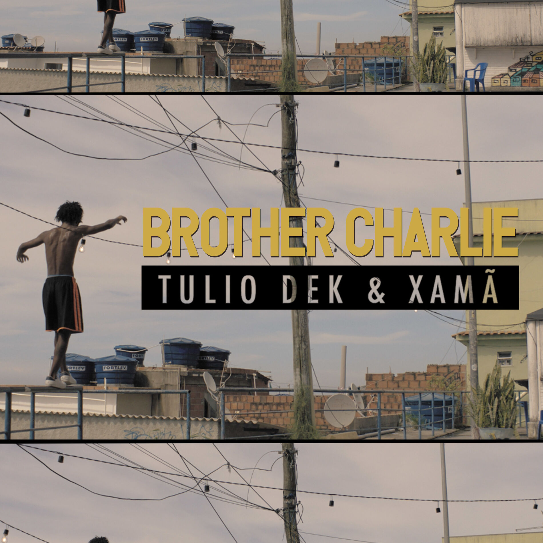 Album cover of Brother Charlie