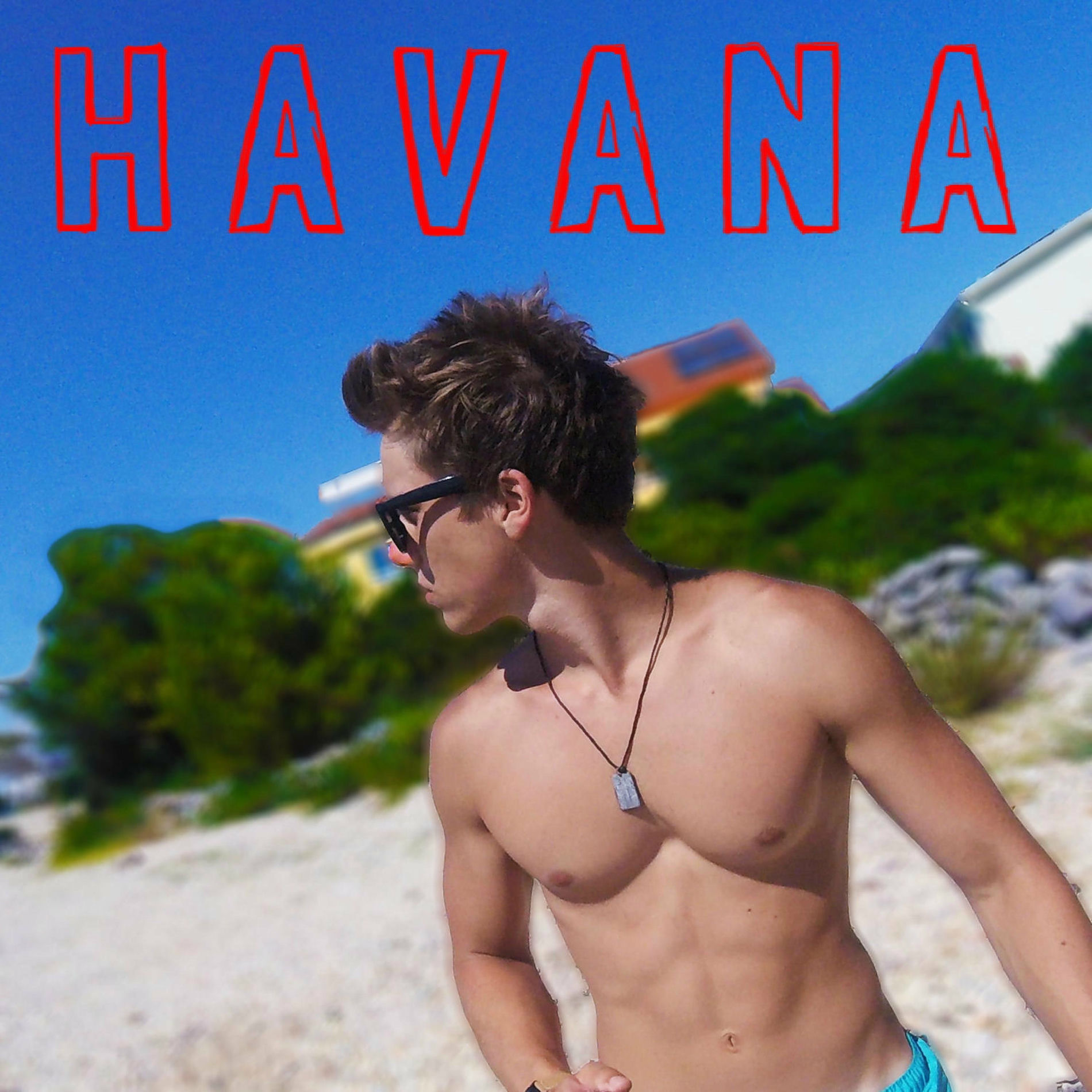 Album cover of Havana