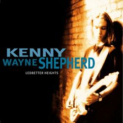 Cover of Ledbetter Heights