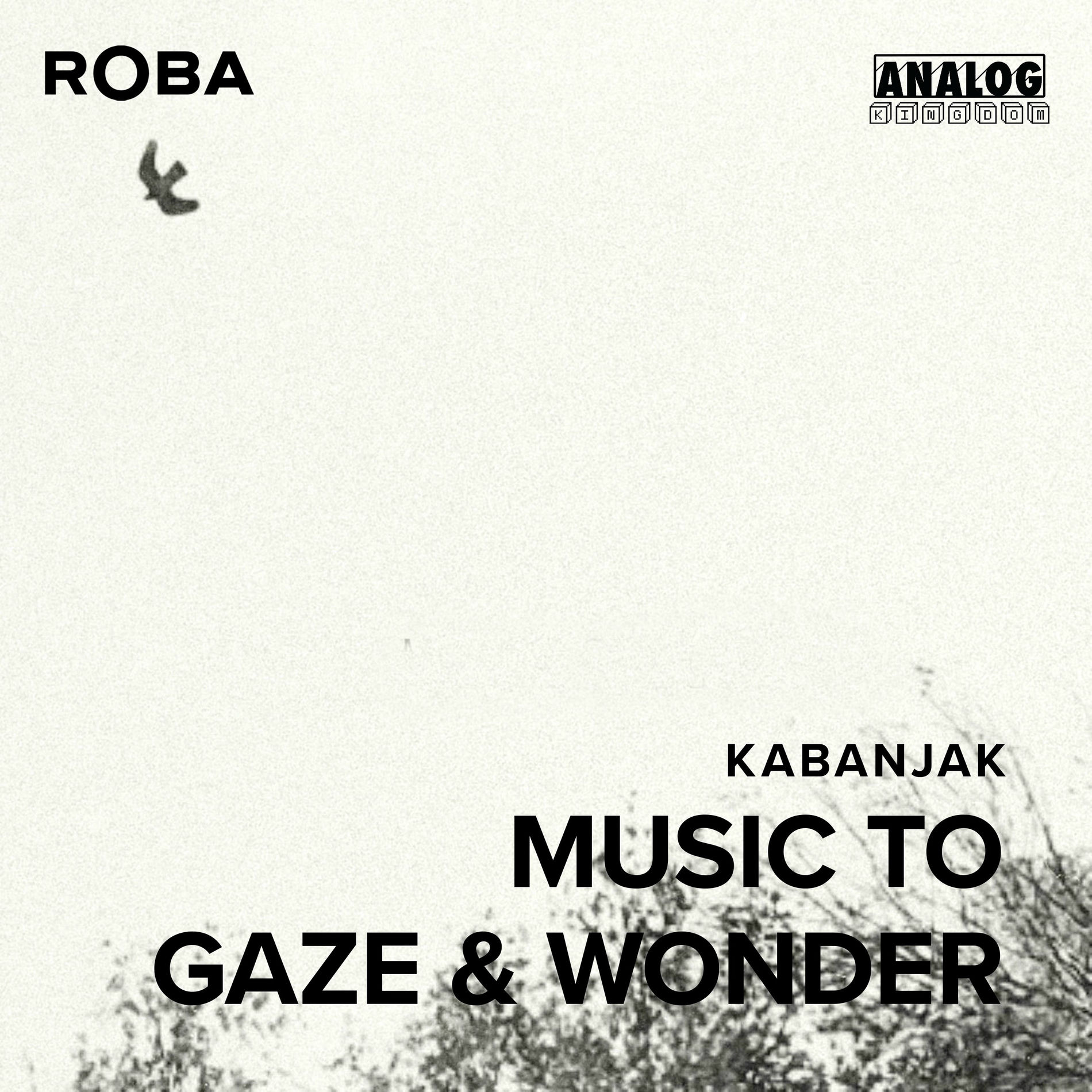 Album cover of Music To Gaze & Wonder