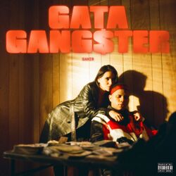 Cover of Gata Gang$ter