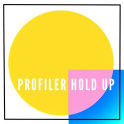 Cover of Hold Up