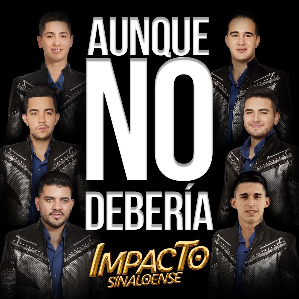 Picture of Aunque No Debería