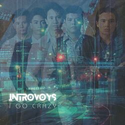 Cover of I Go Crazy