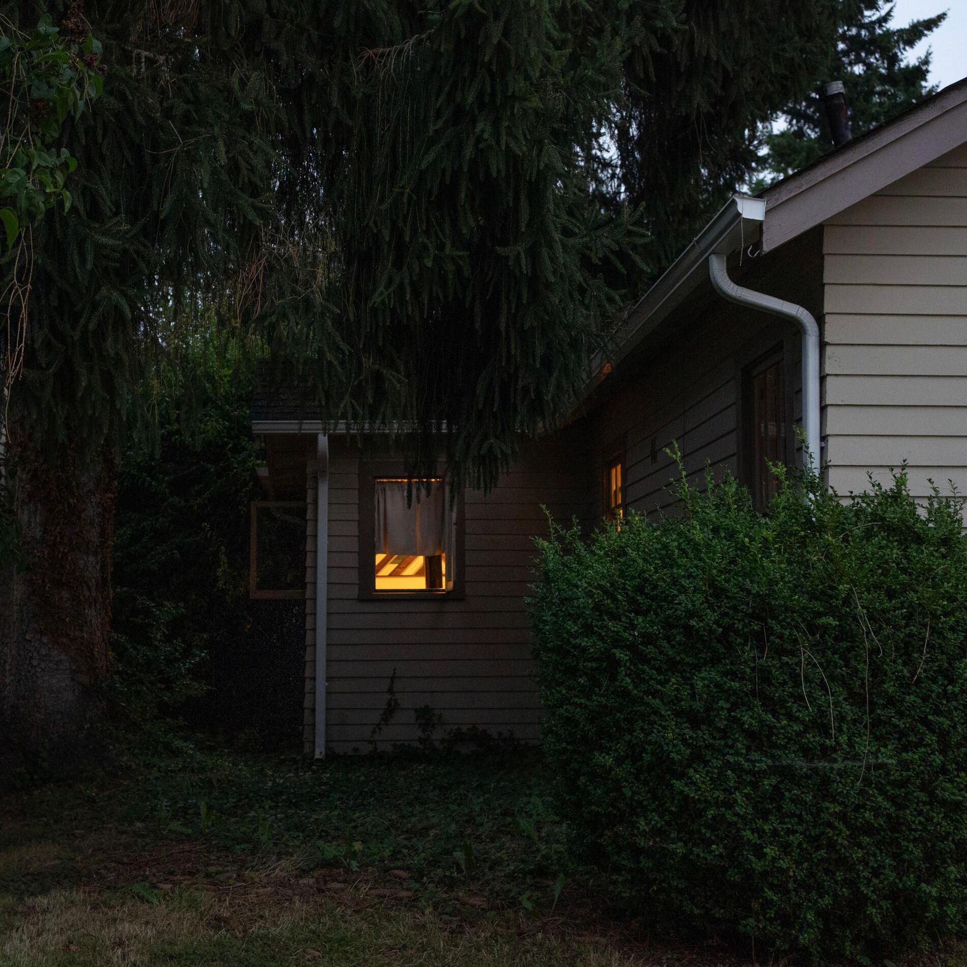 Album cover of dont know