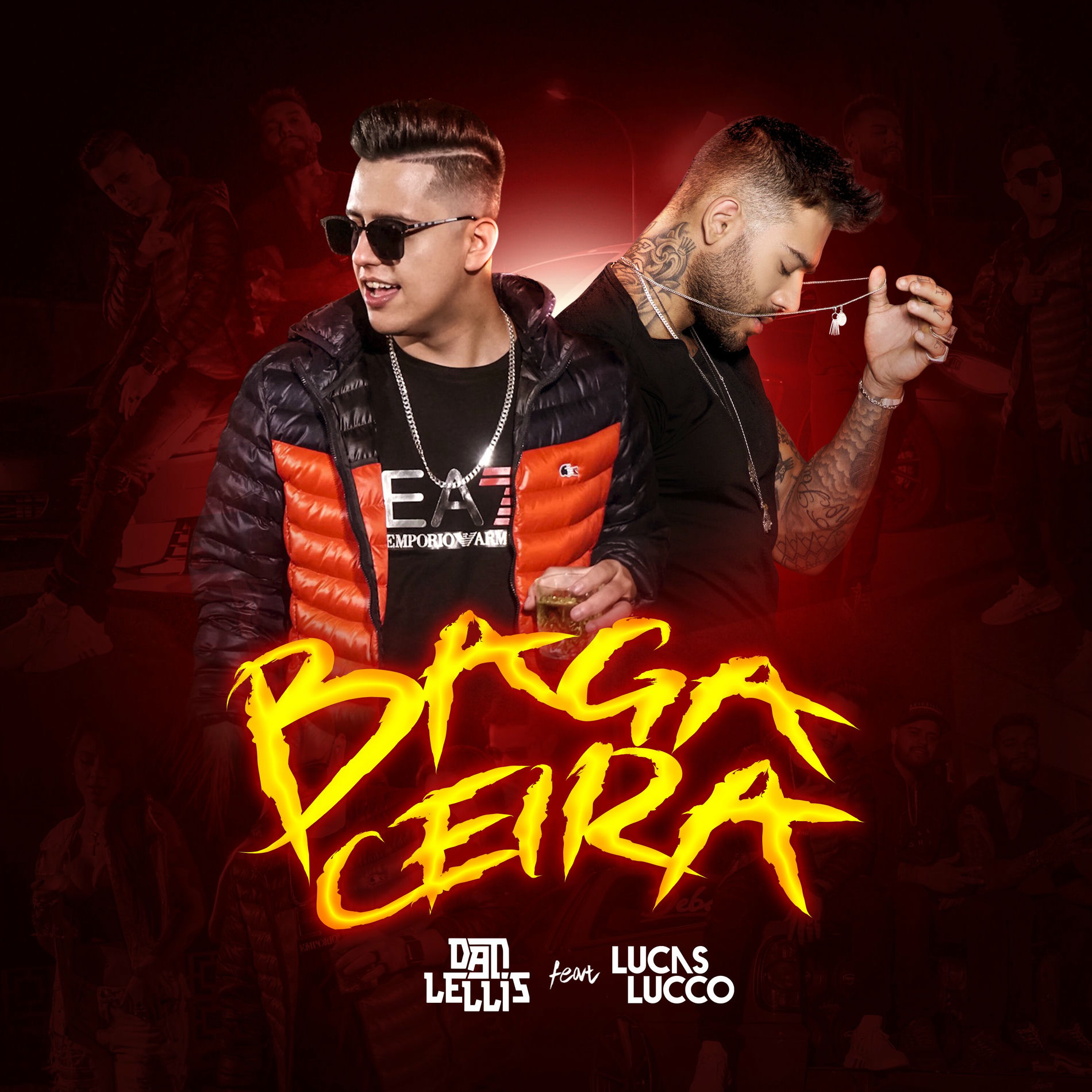 Album cover of Bagaceira