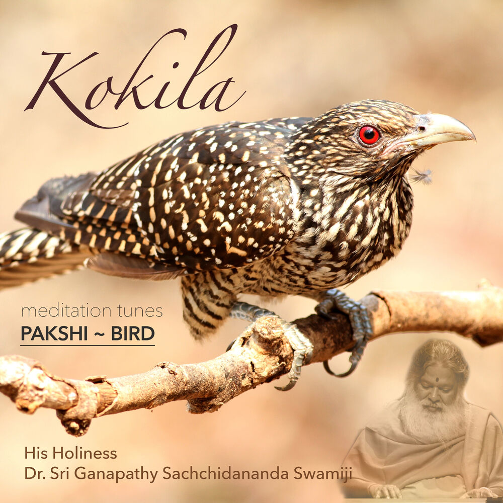 Picture of Meditation Tunes - Pakshi / Bird - Kokila