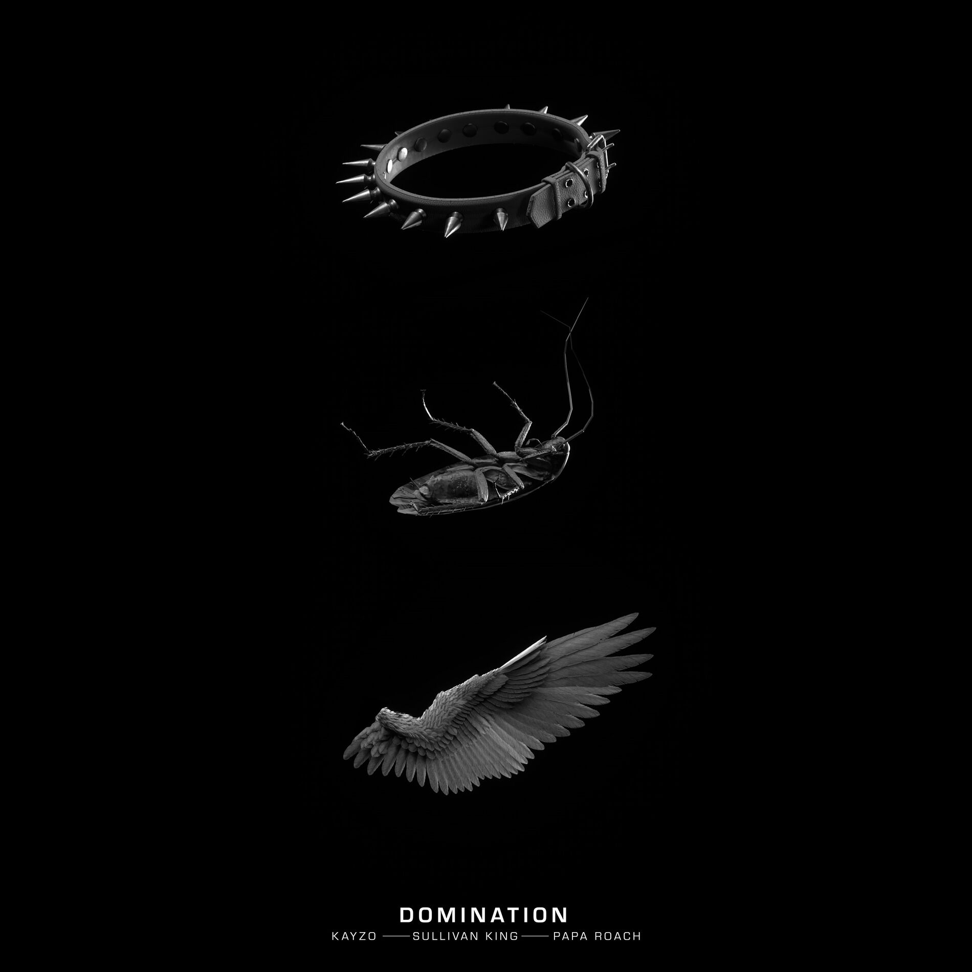 Album cover of DOMINATION
