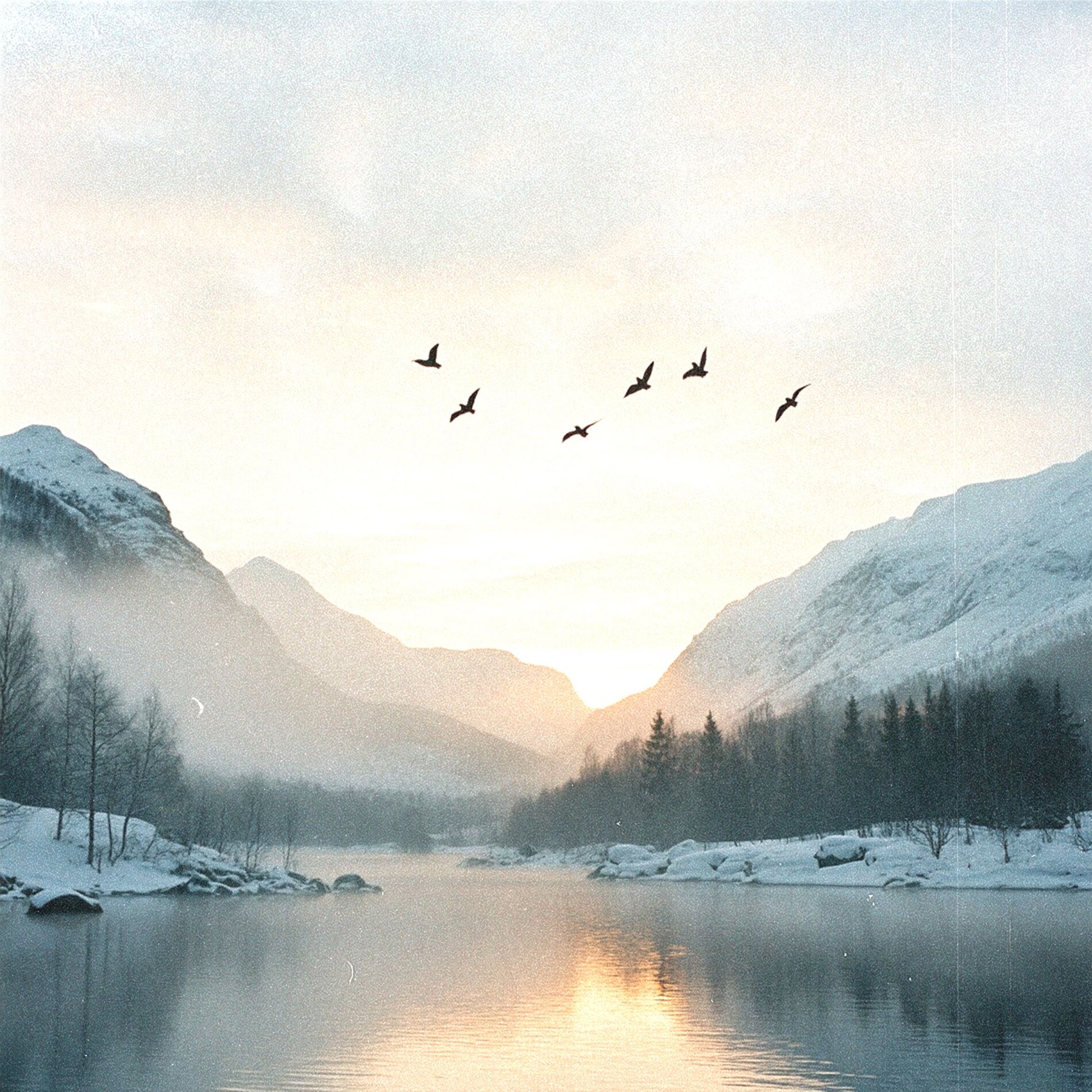 Album cover of Lycka