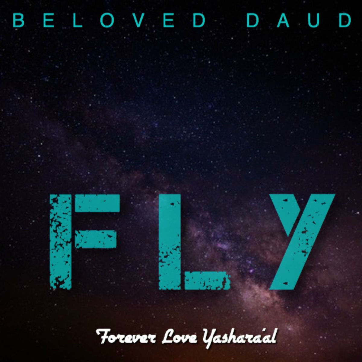 Album cover of F.L.Y.