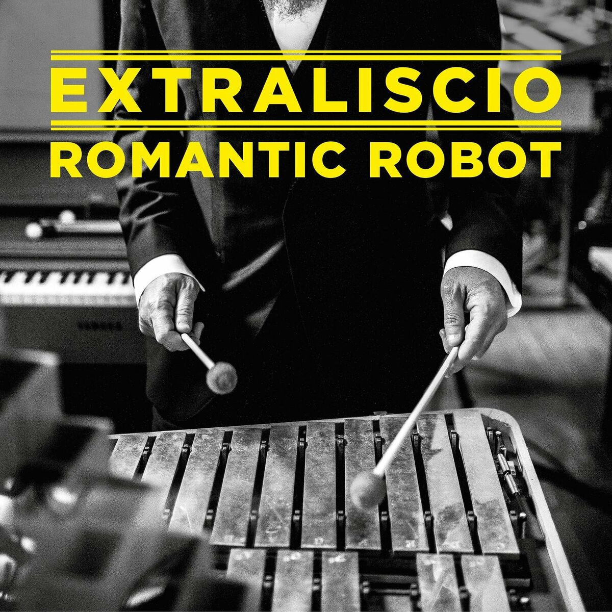 Album cover of Romantic Robot